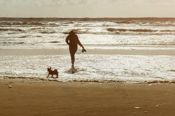 女人和她<strong>狗</strong>步行在指已提到的人海滩在日落或日出