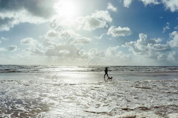 女人和她狗步行在指已提到的人海滩在日落或日出