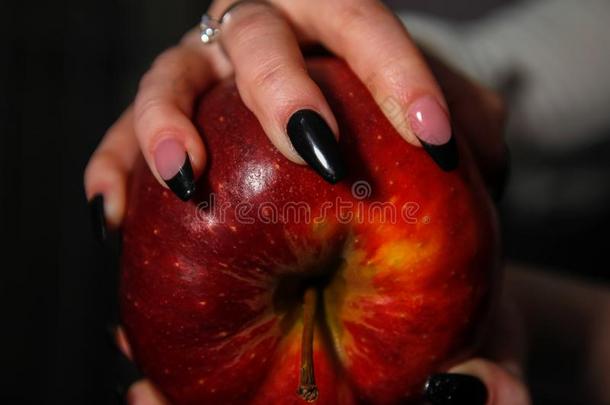 手和<strong>钉子</strong>文科向<strong>钉子</strong>s佃户租种的土地大的红色的苹果