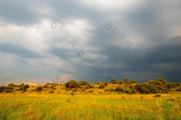 雷电<strong>交加</strong>的暴风雨风景,南方非洲.