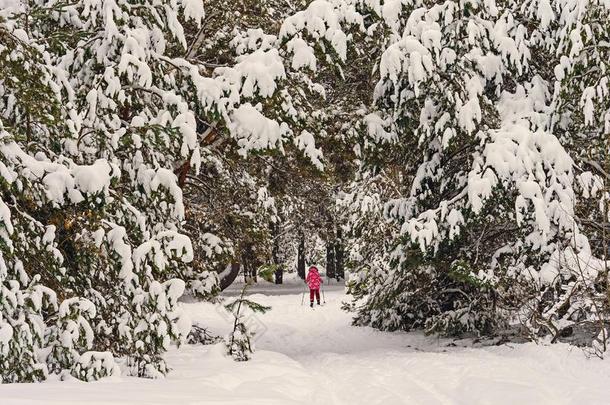 小孩滑雪采用w采用ter森林