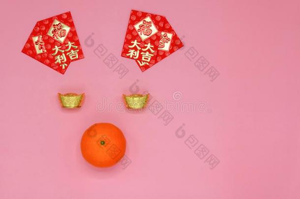 中国人新的年节日背景和猪面容.
