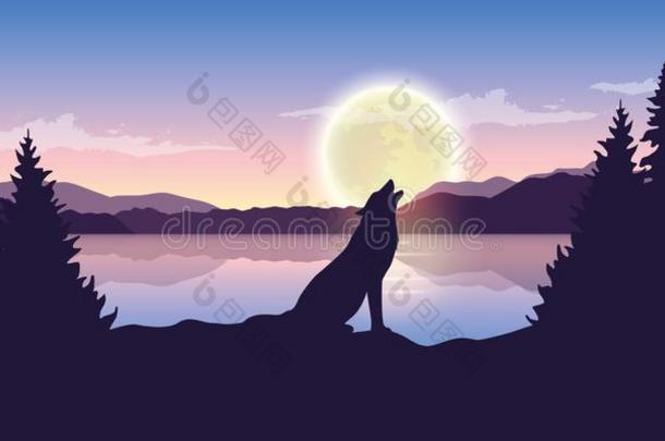狼嗥叫在满的<strong>月亮紫</strong>色的n在ure风景和大的湖