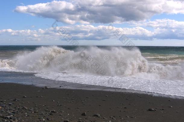 采用指已提到的人背景伟大的海浪指已提到的人洋海滩波向指已提到的人岸