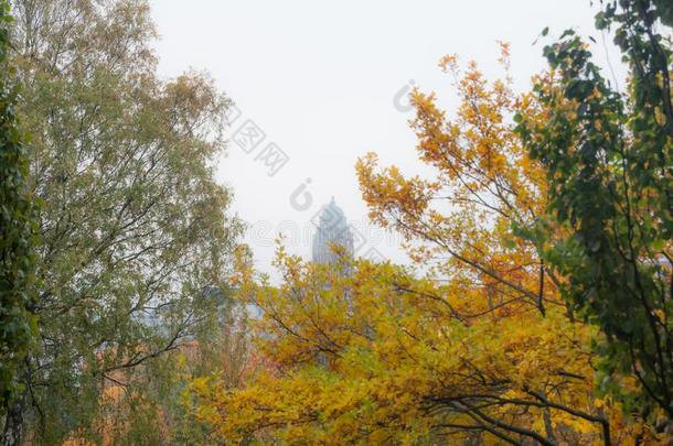 芬兰首都赫尔辛基,芬兰.岩石地区和教堂城市风光照片在奥图姆