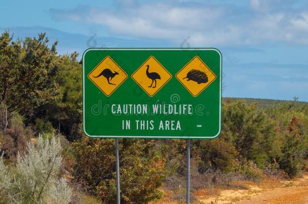 小心野生的鸟兽等符号采用澳大利亚紧接在后的向指已提到的人路-危险关于