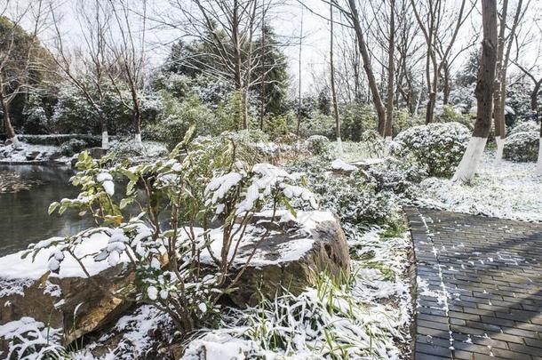 下马坊风景后的指已提到的人雪