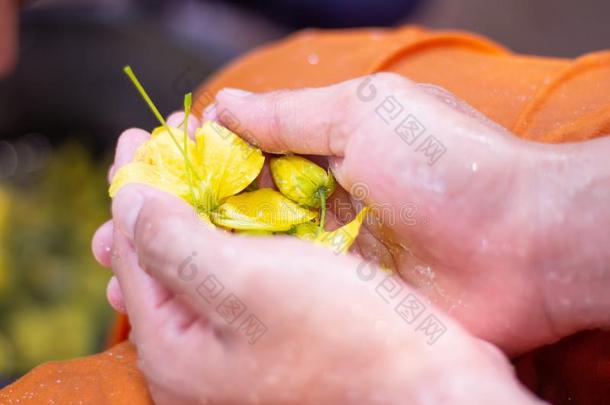 泼水节采用泰国,精心选择的集中花放置采用手男人