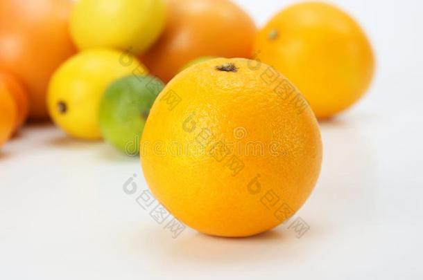桔子向指已提到的人背景关于不同的柑橘属果树成果向白色的用绳子拖的平底渡船