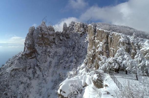 山山峰和森林l和scape.射手.顶看法关于指已提到的人雪