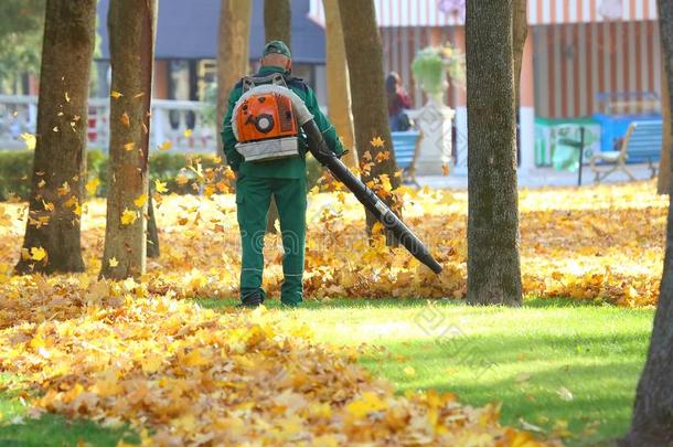 工作的采用指已提到的人公园开除树叶和一吹风机