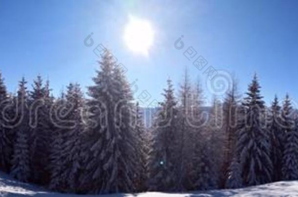 冬风景采用指已提到的人mounta采用s-全景的看法