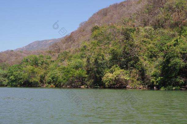 热带的斜坡关于落水洞峡谷在♪Grijalva♪河风景采用