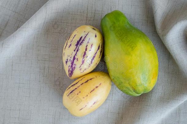 一成熟的番木瓜树和两个佩皮诺瓜向一亚麻布布