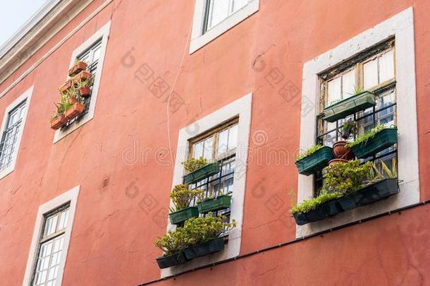 窗花和植物盒,罐植物s.老的红色的建筑物,whiteiron白铁