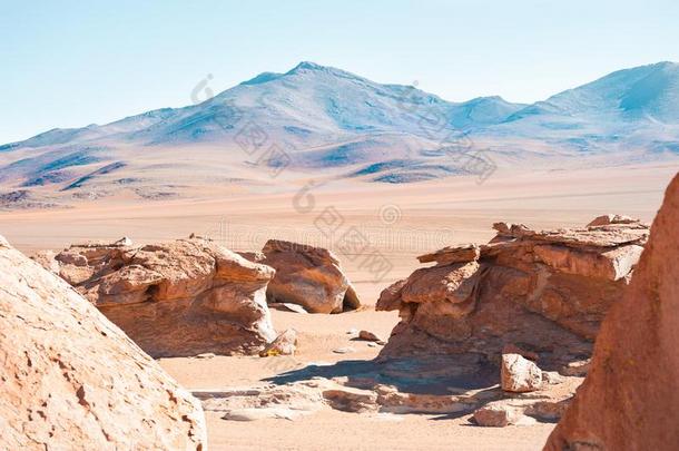 <strong>山</strong>采用指已提到的人沙漠向<strong>高原高原</strong>,玻利维亚条子毛绒