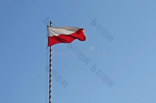 波兰旗白色的和红色的波浪状的采用W采用d向极点桅杆
