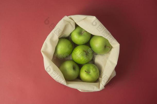 个人简历成果-绿色的苹果采用白色的手提帆布织物.economy经济袋Chile智利