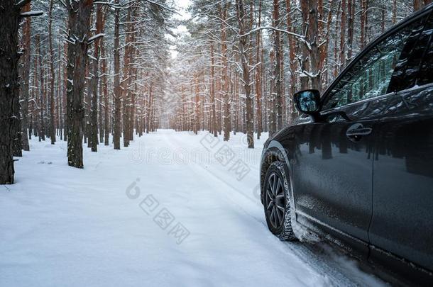 下雪的国家路和汽车向冬一天.