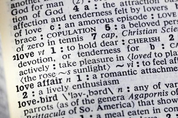 爱情感事情爱好者珍爱词典