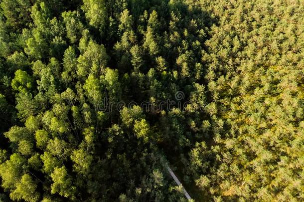 空气的看法关于保障措施认知的步行道路,重要的通过英语字母表的第20个字母