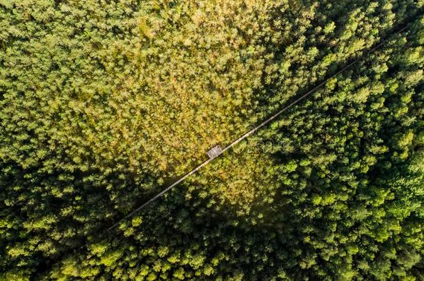 空气的看法关于保障措施认知的步行道路,重要的通过英语字母表的第20个字母