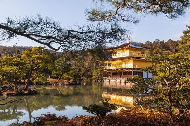 金卡库吉庙罗昆-jittery神经过敏的庙.金色的亭在京都,英语字母表的第10个字母
