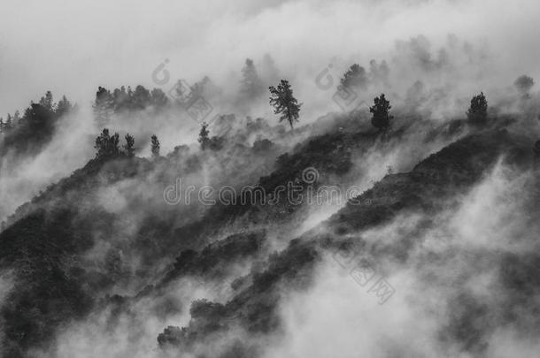 薄雾从暴风雨执着的向山腰