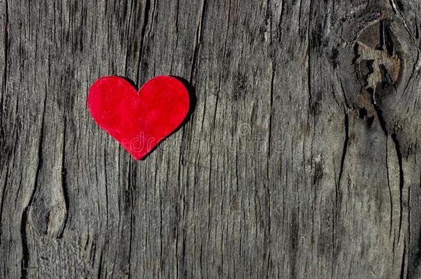 情人一天红色的心向老的木材和复制品空间