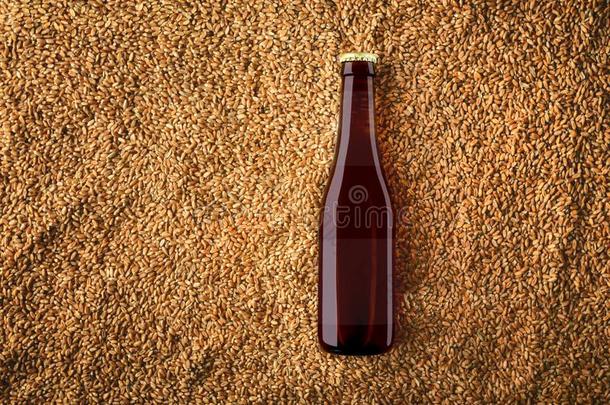 棕色的啤酒玻璃瓶子假雷达向小麦双齿鱼叉背景和