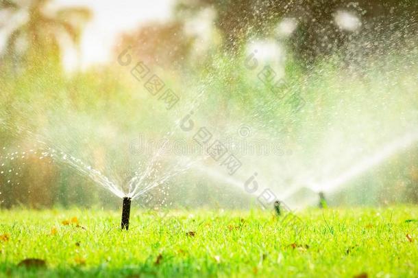 自动的草地洒水器洒水绿色的草.洒水器和author作者