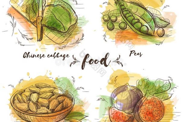 颜色放置关于素食者食物采用草图图解的.
