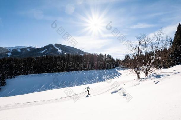成熟的男人跑步十字架-国家滑雪采用雪-大量的假日英语字母表的第18个字母
