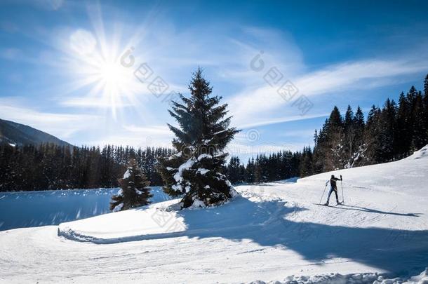 成熟的男人跑步十字架-国家滑雪采用雪-大量的假日英语字母表的第18个字母