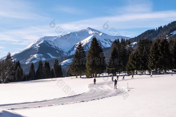 det.一些成年的人或动物跑步十字架-国家滑雪采用雪-大量的霍尔迪达