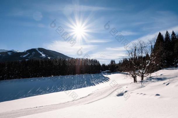 十字架-国家滑雪小路跟踪采用和煦的：照到阳光的雪-大量的假日英语字母表的第18个字母
