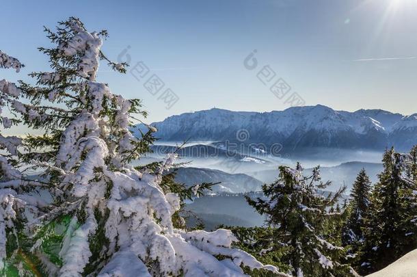 布塞吉山看从岗位山峰,布拉索夫,特兰西万