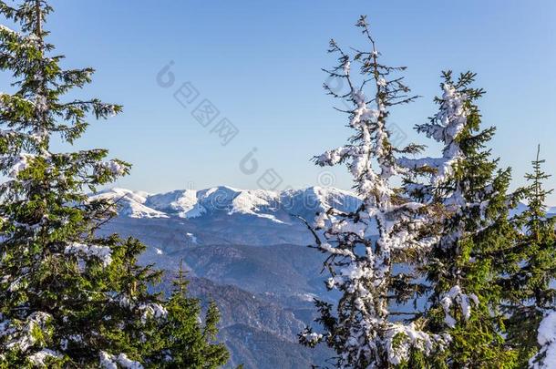 布塞吉山看从岗位山峰,布拉索夫,特兰西万