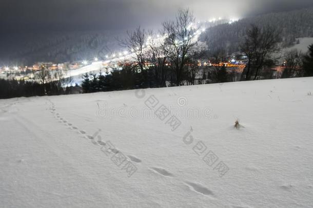 齐勒涅奇,波兰,狐脚步和滑雪斜坡在夜采用指已提到的人