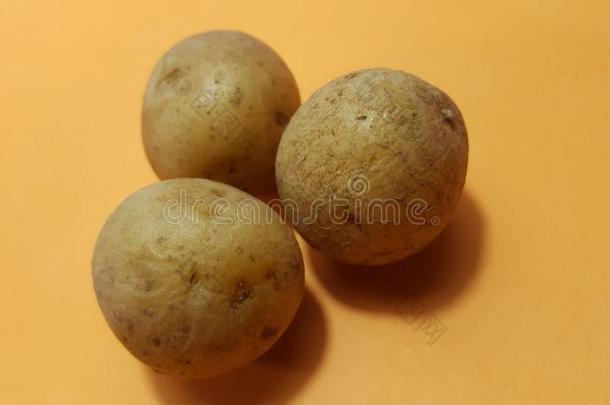 num.三马铃薯种子和隔离的照片