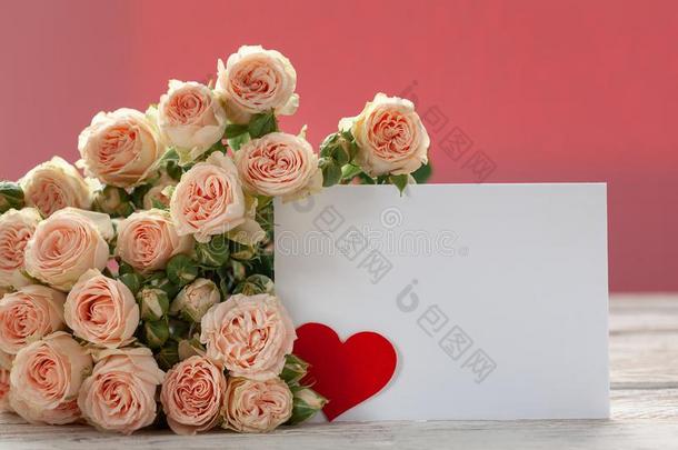 粉红色的玫瑰花和赠品卡片和红色的纸心向粉红色的波黑