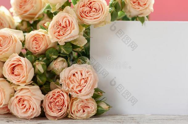粉红色的玫瑰花和赠品卡片向粉红色的背景.母亲是