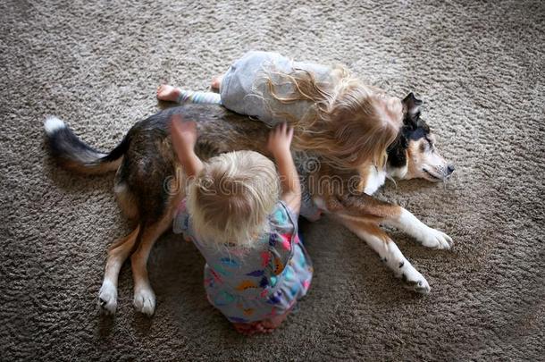 两个小的小孩热烈地拥抱和抚摸他们的宠物狗