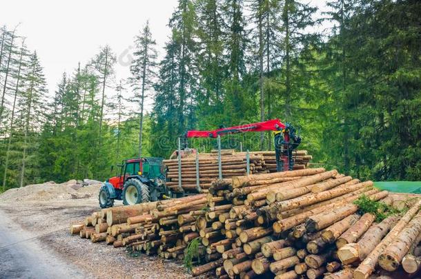 铲车货车试图抓取木材采用木材process采用g植物