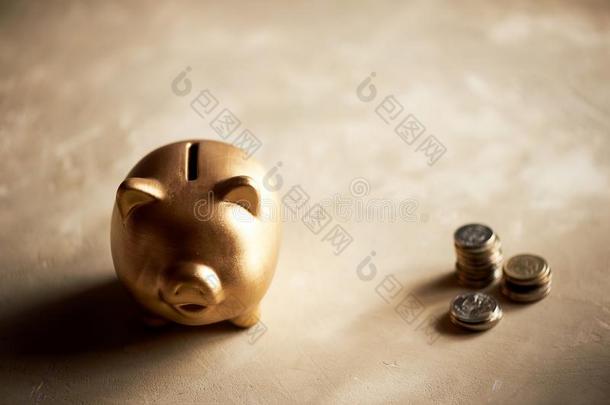 象征关于2019.金猪猪gy银行和coinsurance联合保险.财政的普宁