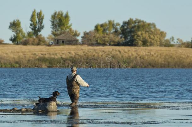 一鸭子猎人和他的狗向一北方D一kot一Wetl和