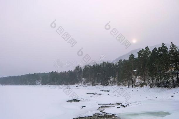 蓝色冬山多雾的河.雪冷冻的松树树田园诗般的