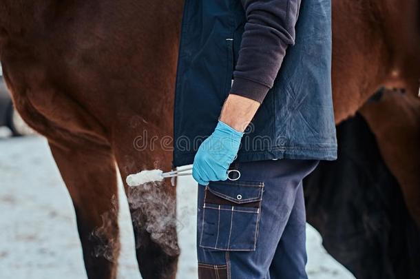 兽医男人使人疲乏的拳击手套佃户租种的土地一手术钳为<strong>低温</strong>降凝剂