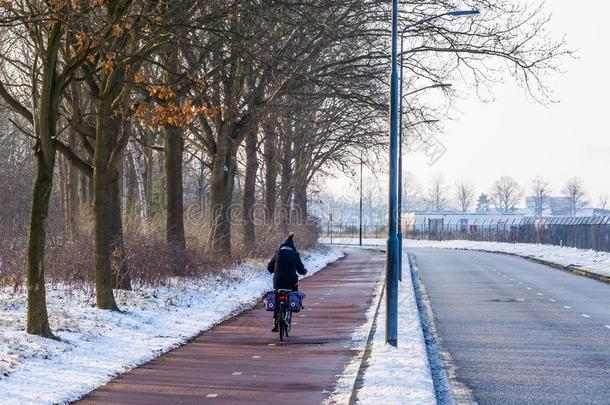 骑自行车的人骑脚踏车兜风向一ro一d在的时候冬se一s向采用指已提到的人Ne指已提到的人rl一nd