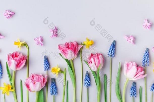美丽的春季花向彩色粉笔表背景.招呼Cana加拿大